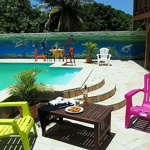 https://residence-fruit-de-la-passion-rose.comcaribbean.com